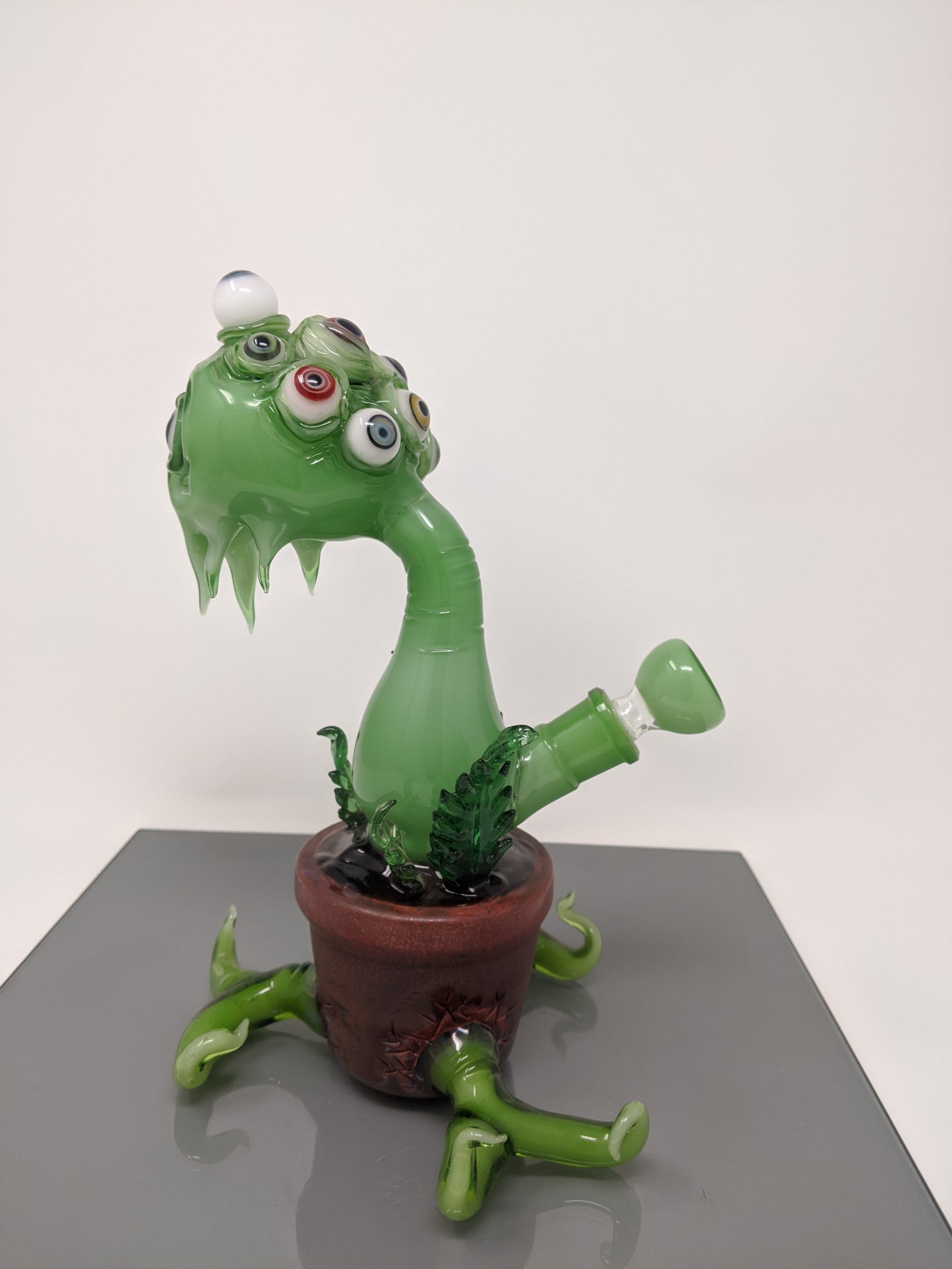 Green-Eyed Plant